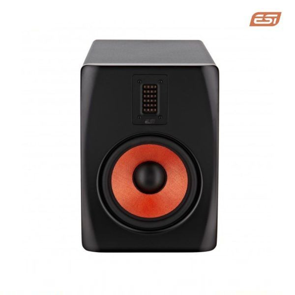 Loa Kiểm Âm Active ESI uniK 08+