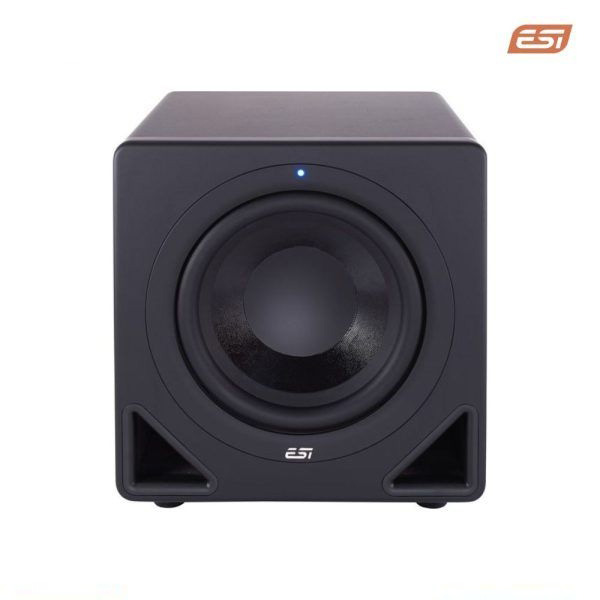 Loa Monitoring Subwoofer ESI AKTIV 10S