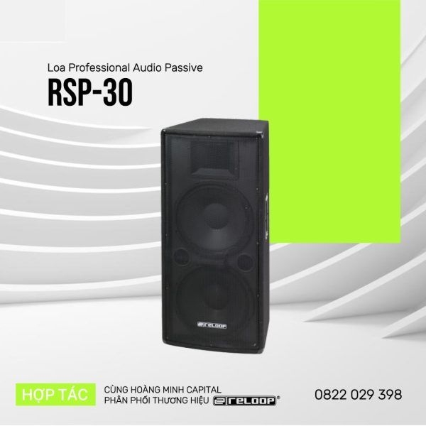 Loa PA Passive Reloop RSP-30