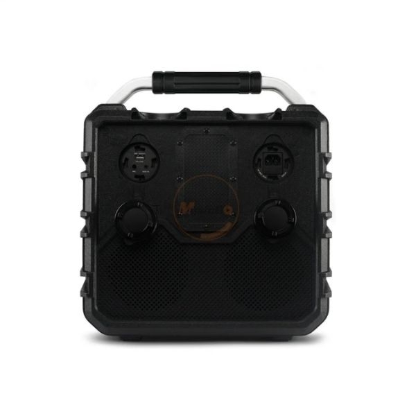 Loa Xách Tay Bluetooth Chống Nước ECOXGEAR EcoTrek